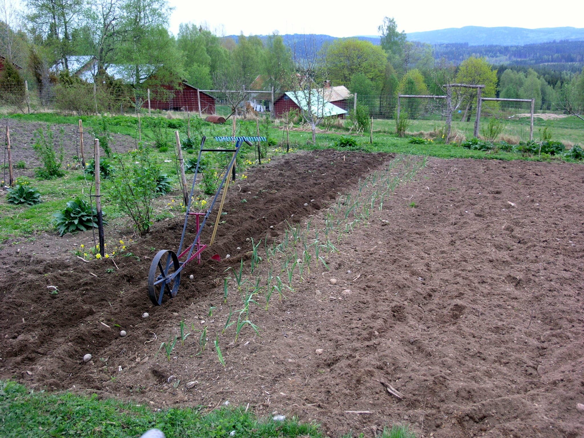 Hjulhacka med kupplog